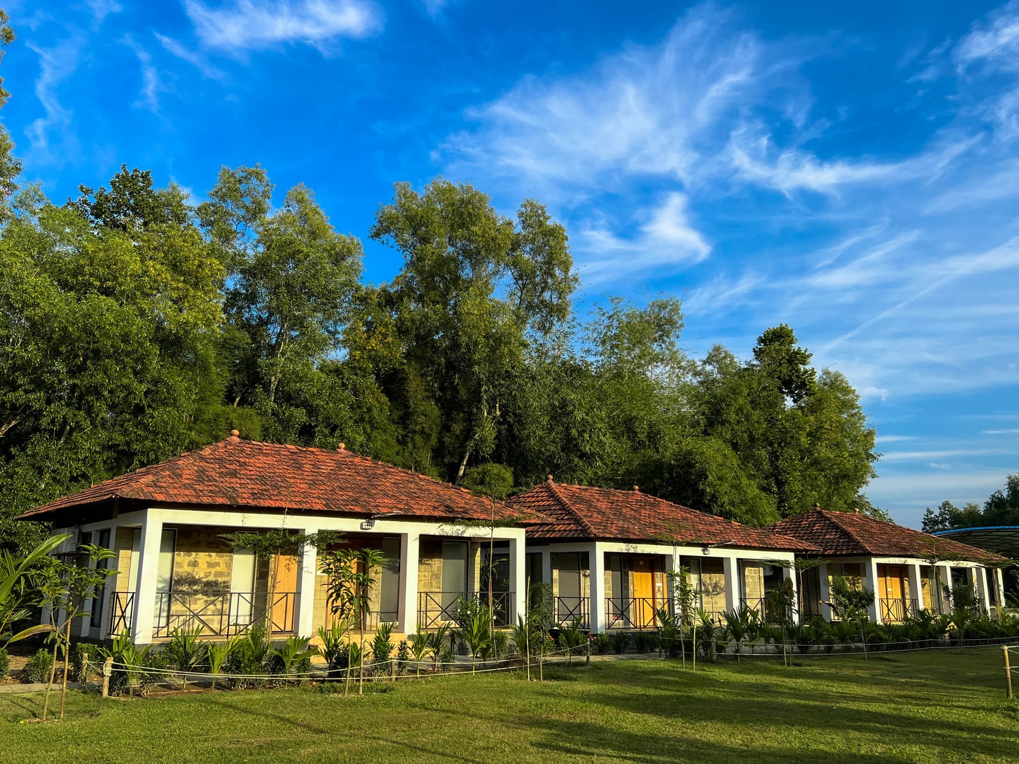 Rainforest resort background